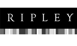 Universidad del desarrollo